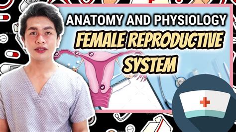 uterus in tagalog|Female Reproductive System (Tagalog) .